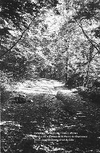 1956 sous bois vers le col du Coq